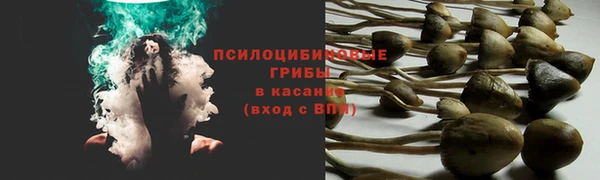 меф Заводоуковск
