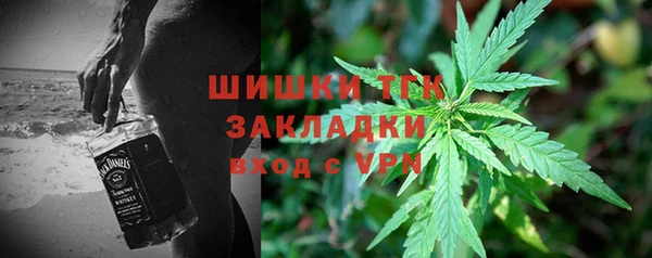 молекула духа Зеленодольск