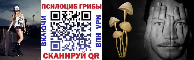 закладки  Иланский  Галлюциногенные грибы мицелий 