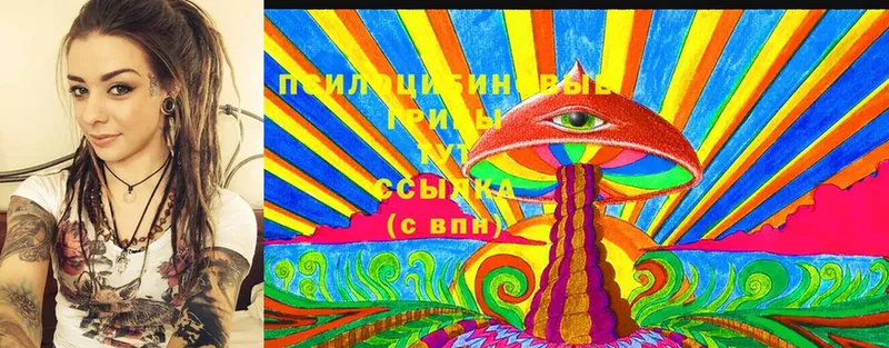 Псилоцибиновые грибы Magic Shrooms Иланский